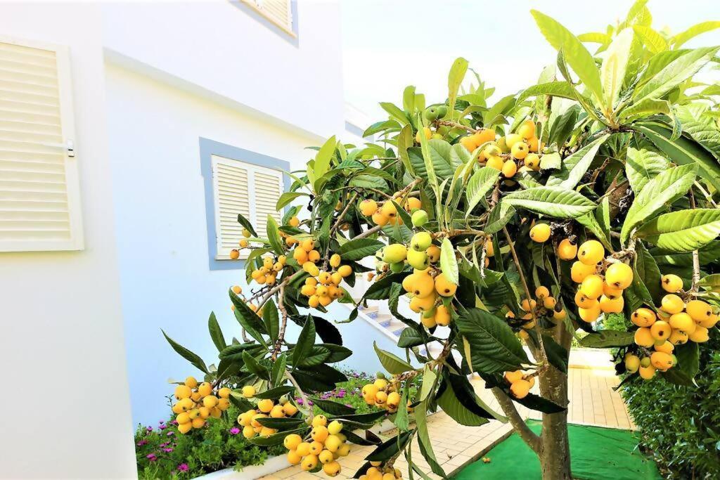 Villa Ventura Marina Albufeira Esterno foto